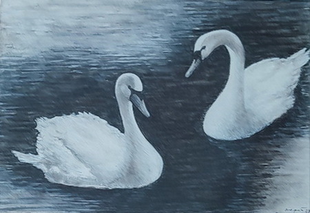 Laboda na Gradiškem jezeru, oglje, 40x30 cm, 2025, Maja Papež Il